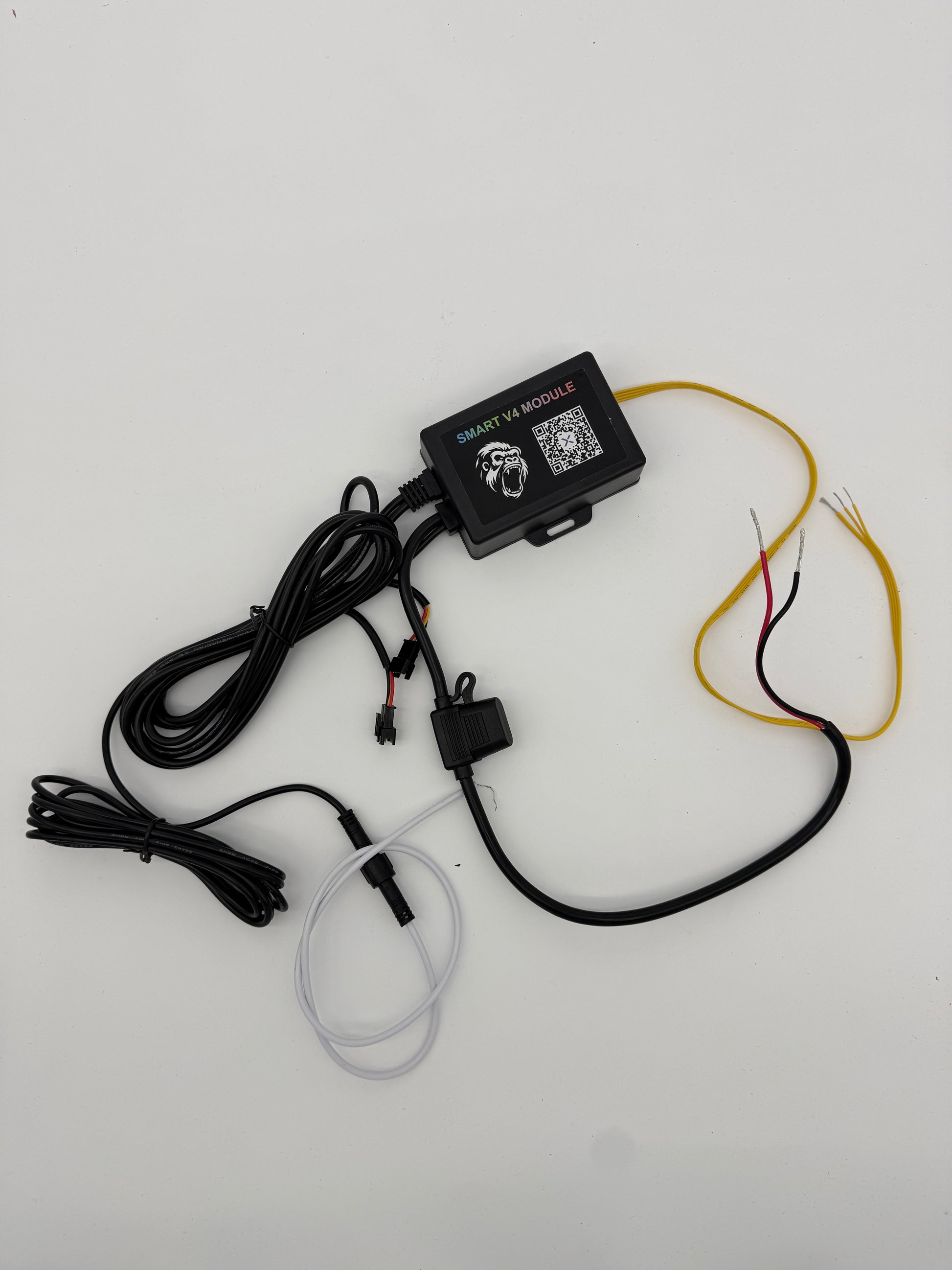 2", 3", 4" Tweeter & 6.5" SMART RGB LED RING KIT V2